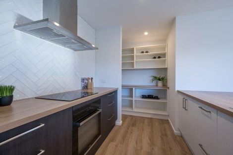 Photo of property in 8 Esher Lane, Richmond, 7020