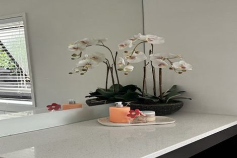 Photo of property in 41 Hibiscus Avenue, Mount Maunganui, 3116