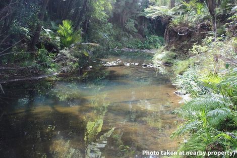 Photo of property in 411a Henderson Valley Road, Henderson Valley, Auckland, 0612