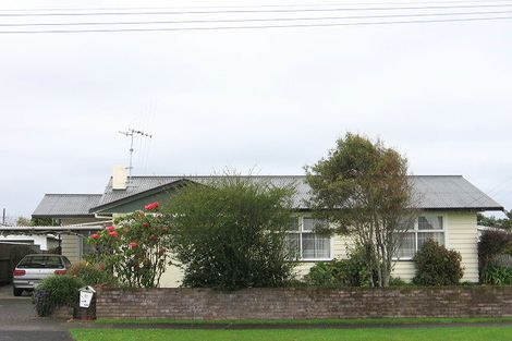 Photo of property in 11 Tasman Street, Levin, 5510