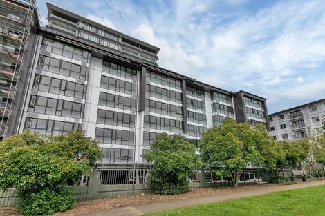 Photo of property in Luna Apartments, 3x/16 Burton Street, Grafton, Auckland, 1010