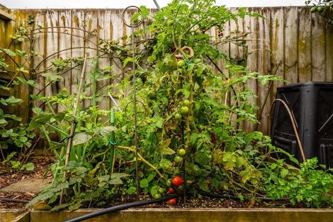 Photo of property in 5/186 Queen Street, Pukekohe, 2120