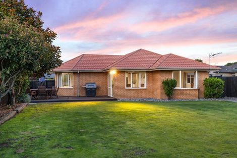 Photo of property in 19 Ballymena Drive, Belfast, Christchurch, 8051