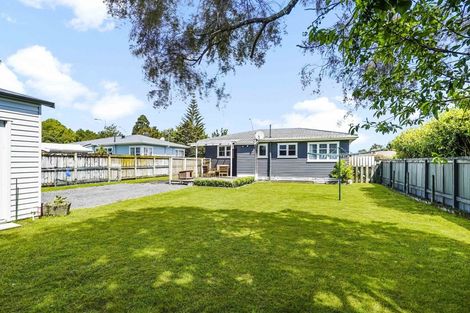 Photo of property in 193 Clarkin Road, Fairfield, Hamilton, 3214