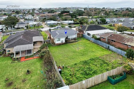 Photo of property in 50 Webster Avenue, Mount Roskill, Auckland, 1041
