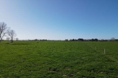 Photo of property in 91 Goodwin Road, Ohaupo, Cambridge, 3495