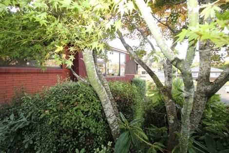 Photo of property in 16 Kinmont Crescent, Kinmont Park, Mosgiel, 9024