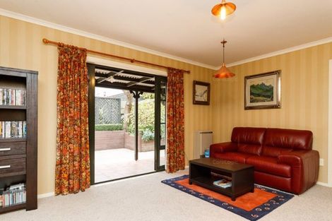Photo of property in 20a Manson Street, Terrace End, Palmerston North, 4410
