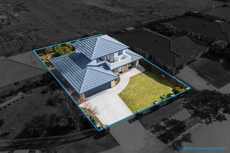 Photo of property in 17 Lolim Place, Favona, Auckland, 2024