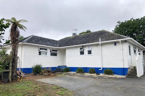 Photo of property in 9 Larsen Road, Panmure, Auckland, 1072