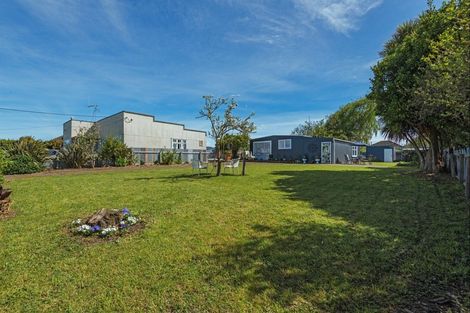 Photo of property in 17 Matai Street, Marton, 4710