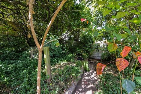 Photo of property in 53 Dorset Avenue, Westown, New Plymouth, 4310