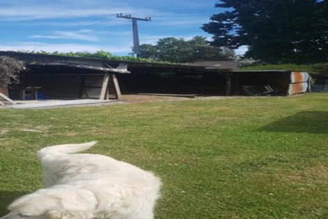 Photo of property in 22 Kauri Drive, Wairakei, Taupo, 3332