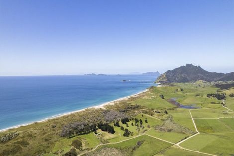 Photo of property in 85 Blue Horizon Road, Whangarei Heads, Whangarei, 0174