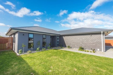 Photo of property in 20 Magnolia Crescent, Tawhero, Whanganui, 4501