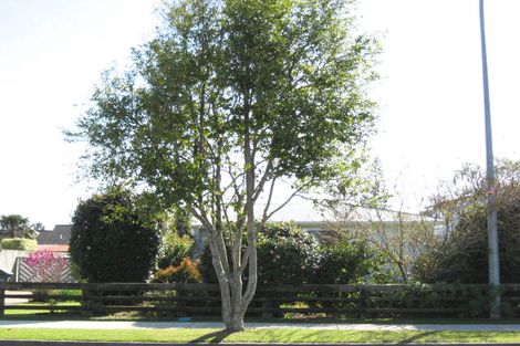 Photo of property in 60 Peace Street, Whakatane, 3120