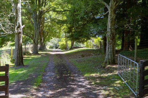 Photo of property in 199 Deep Creek Road, Reporoa, 3081