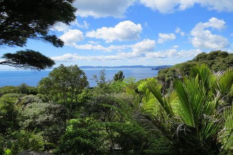 Photo of property in 515 Tuateawa Road, Tuateawa, Coromandel, 3583