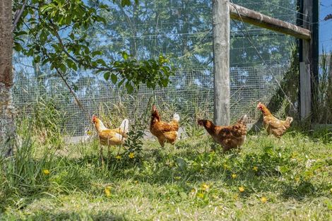 Photo of property in 172 Douds Road, Sefton, Rangiora, 7477