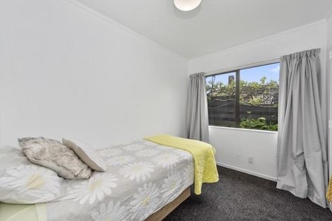 Photo of property in 8a Park Terrace, Hamilton Central, Hamilton, 3204