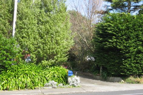 Photo of property in 336 Tukapa Street, Hurdon, New Plymouth, 4310