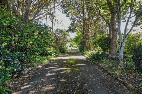 Photo of property in 67 Mako Mako Road, Levin, 5510