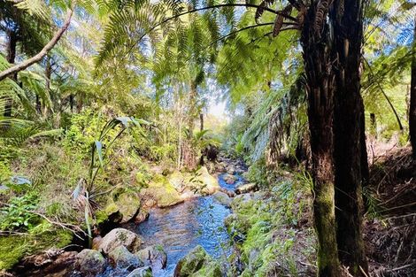 Photo of property in 600 Buffalo Road, Coromandel, 3506