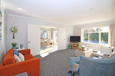 Photo of property in 133 Collinson Street, Pirongia, 3802