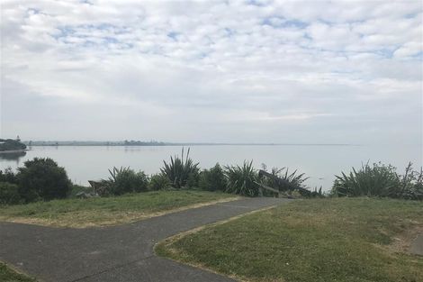 Photo of property in 117 Palmers Road, Clendon Park, Auckland, 2103