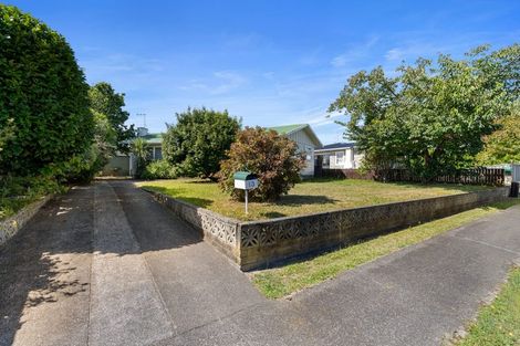 Photo of property in 13 Arran Street, Levin, 5510