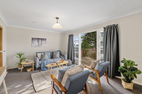 Photo of property in 55 Trafalgar Street, Levin, 5510