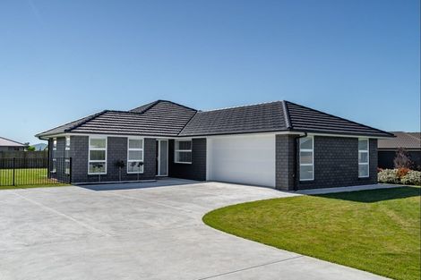 Photo of property in 9 Mervyn Brown Place, Solway, Masterton, 5810