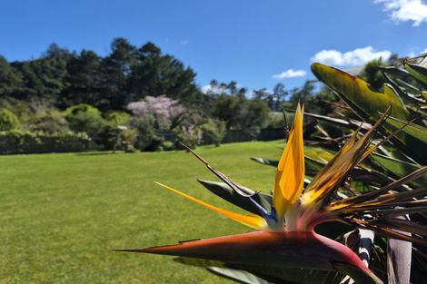 Photo of property in 85 Watt Street, Coromandel, 3506