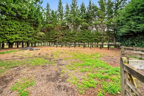 Photo of property in 51 Victoria Street, Oxford, 7430