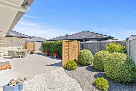 Photo of property in 25 Korari Grove, Redwoodtown, Blenheim, 7201