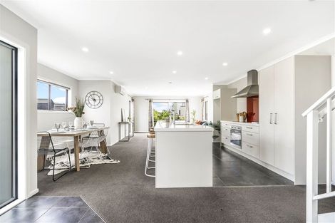 Photo of property in 46 Tennille Street, Flagstaff, Hamilton, 3210