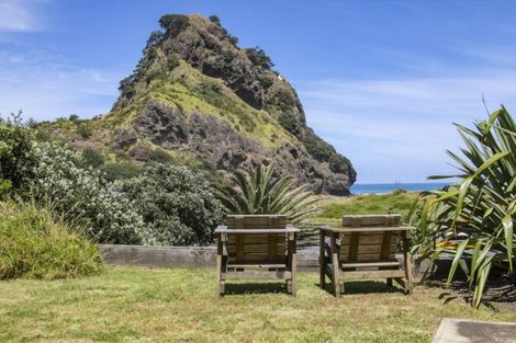 Photo of property in 65 Marine Parade North, Piha, 0772