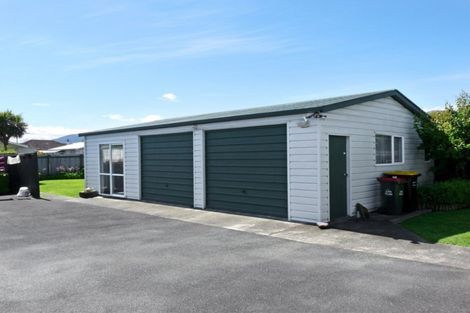 Photo of property in 17 Talbot Street, Richmond, 7020