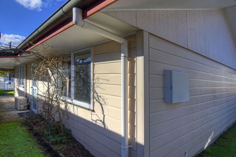 Photo of property in 7 Newland Place, Masterton, 5810