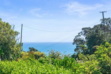 Photo of property in 133 Waitea Road, Muriwai, Waimauku, 0881