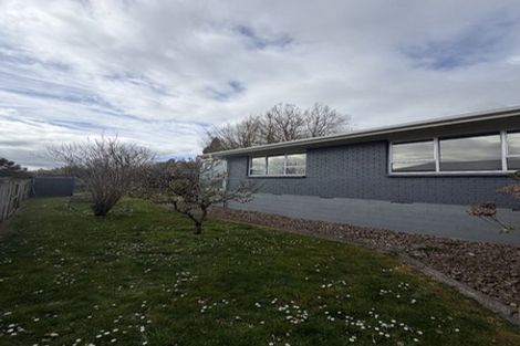 Photo of property in 82 Rawhiti Avenue, Matamata, 3400