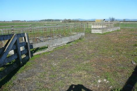 Photo of property in 560 Hauraki Road, Turua, 3574