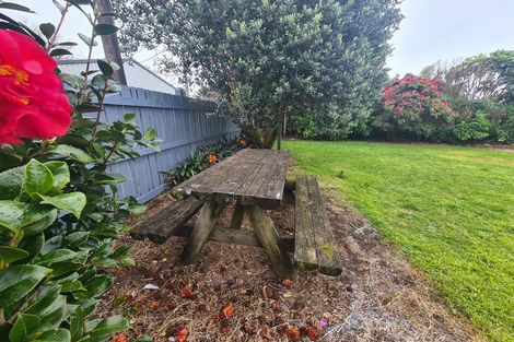 Photo of property in 25 Timandra Street, Welbourn, New Plymouth, 4312