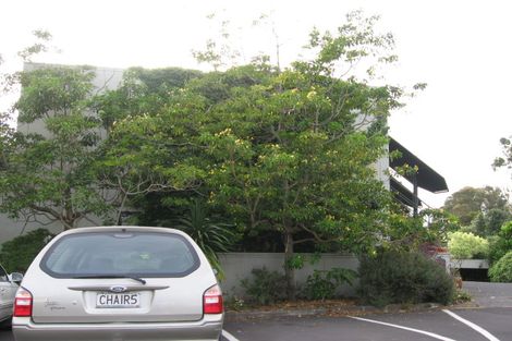 Photo of property in 8d Arotau Place, Grafton, Auckland, 1023