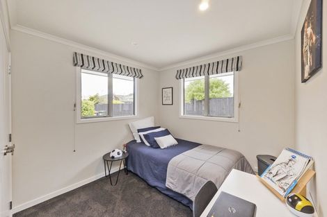 Photo of property in 96a Limbrick Street, Terrace End, Palmerston North, 4410