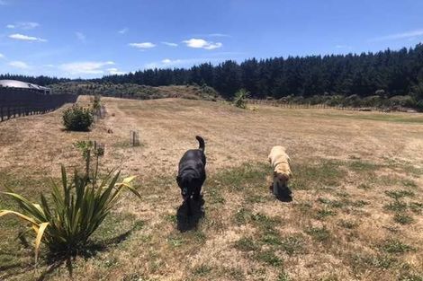 Photo of property in 6 Kanuka Drive, Waitarere, Levin, 5510