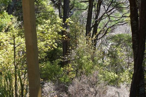 Photo of property in 14 Pohue Creek Road, Waiomu, Thames, 3575