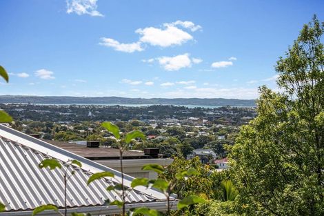 Photo of property in 41 Landscape Road, Mount Eden, Auckland, 1024