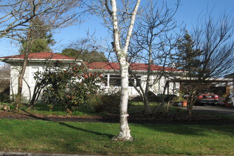 Photo of property in 22 Young Street, Claudelands, Hamilton, 3214