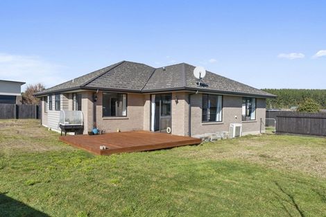 Photo of property in 39 John Norrie Place, Motuoapa, Turangi, 3382
